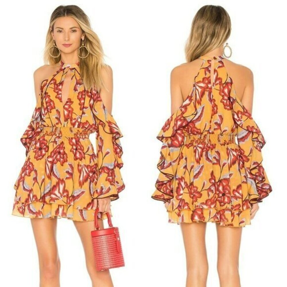 House of Harlow 1960 xREVOLVE Harmony Dress - Reims Floral
